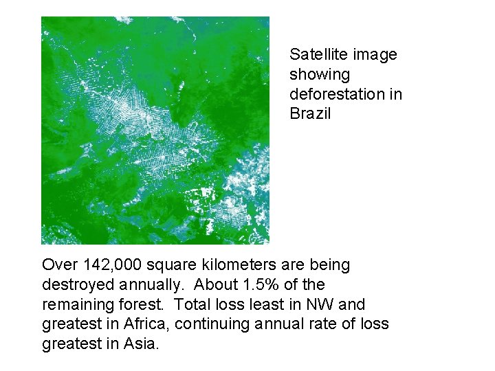 Satellite image showing deforestation in Brazil Over 142, 000 square kilometers are being destroyed