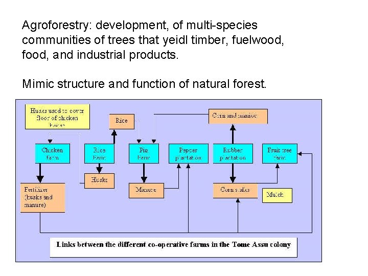 Agroforestry: development, of multi-species communities of trees that yeidl timber, fuelwood, food, and industrial