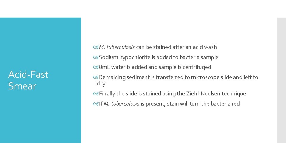  M. tuberculosis can be stained after an acid wash Sodium hypochlorite is added