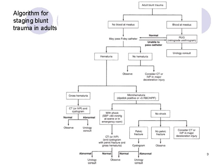 Algorithm for staging blunt trauma in adults 3 