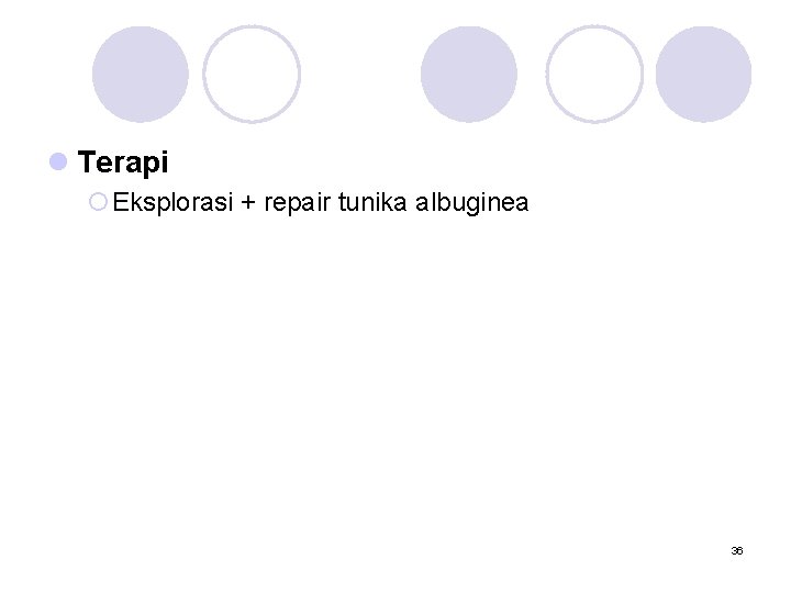 l Terapi ¡Eksplorasi + repair tunika albuginea 36 
