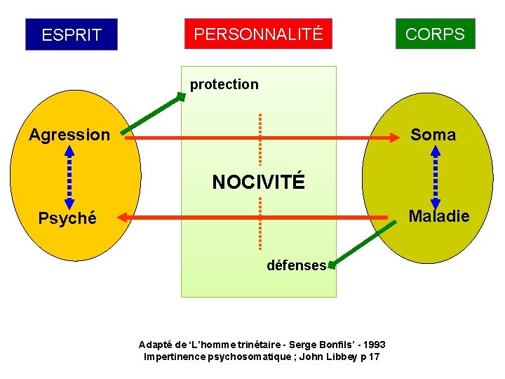 ESPRIT PERSONNALITÉ CORPS protection Soma Agression NOCIVITÉ Maladie Psyché défenses Adapté de ‘L’homme trinétaire