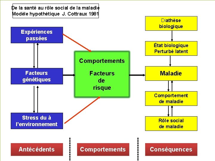 De la santé au rôle social de la maladie Modèle hypothétique J. Cottraux 1981