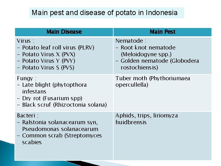 Main pest and disease of potato in Indonesia Main Disease Virus : - Potato