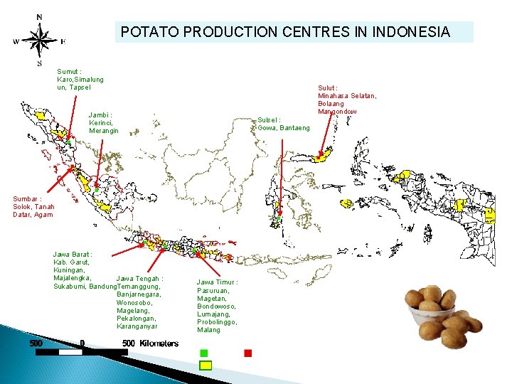 POTATO PRODUCTION CENTRES IN INDONESIA Sumut : Karo, Simalung un, Tapsel Sulut : Minahasa