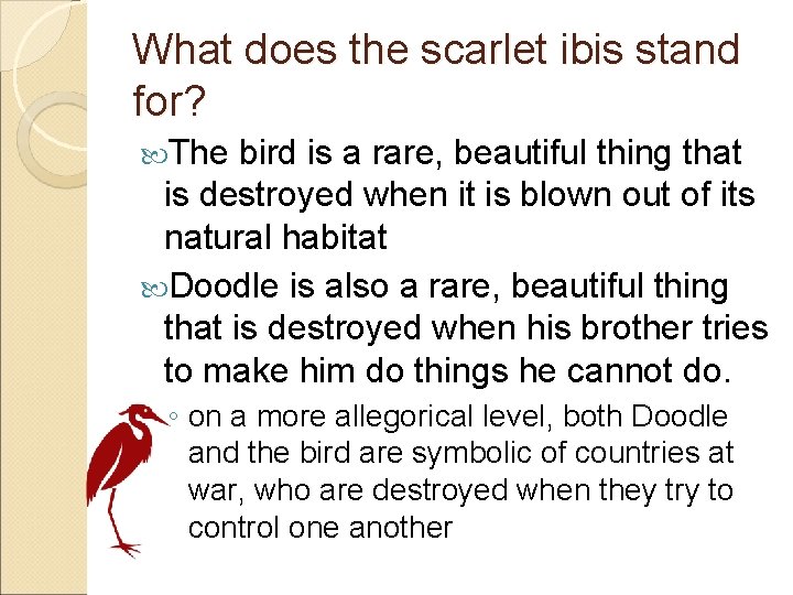 What does the scarlet ibis stand for? The bird is a rare, beautiful thing