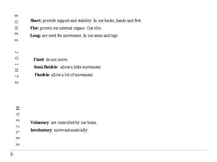 B O N E S Short: provide support and stability. In our backs, hands