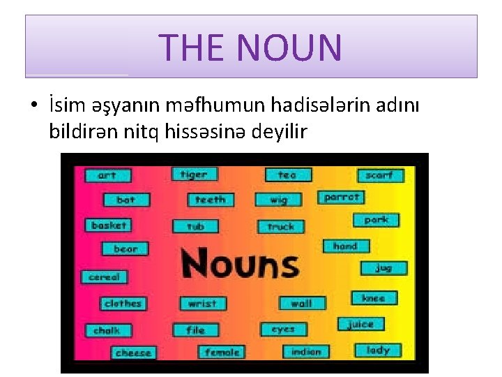 THE NOUN • İsim əşyanın məfhumun hadisələrin adını bildirən nitq hissəsinə deyilir 
