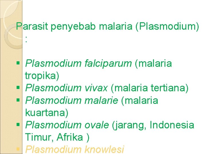 Parasit penyebab malaria (Plasmodium) : § Plasmodium falciparum (malaria tropika) § Plasmodium vivax (malaria