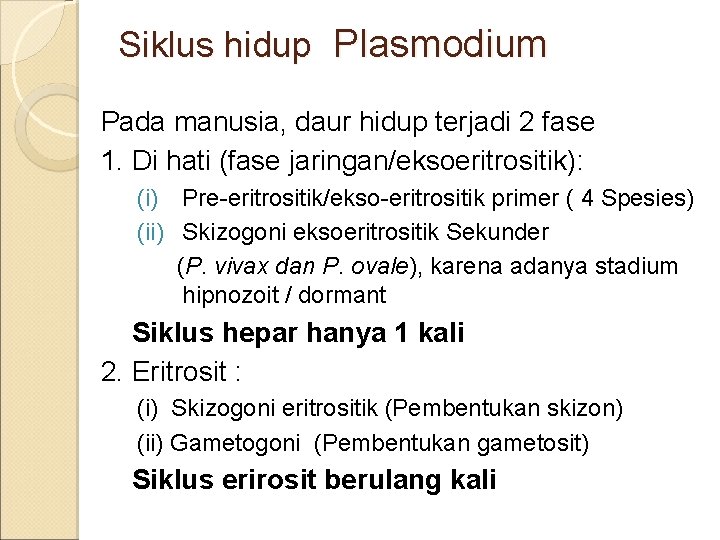 Siklus hidup Plasmodium Pada manusia, daur hidup terjadi 2 fase 1. Di hati (fase