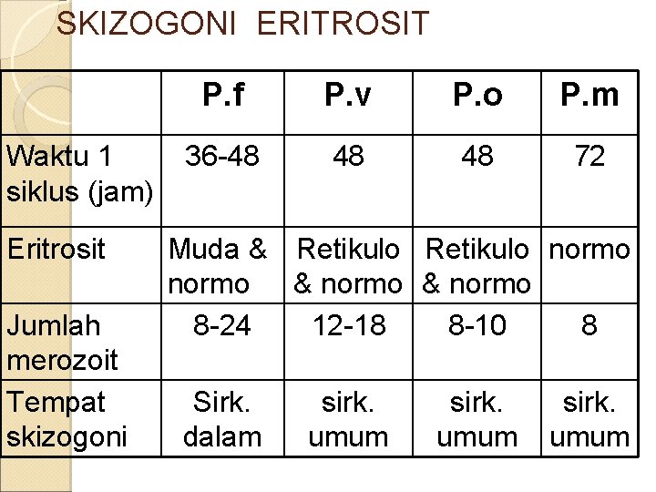 SKIZOGONI ERITROSIT Waktu 1 siklus (jam) Eritrosit Jumlah merozoit Tempat skizogoni P. f P.