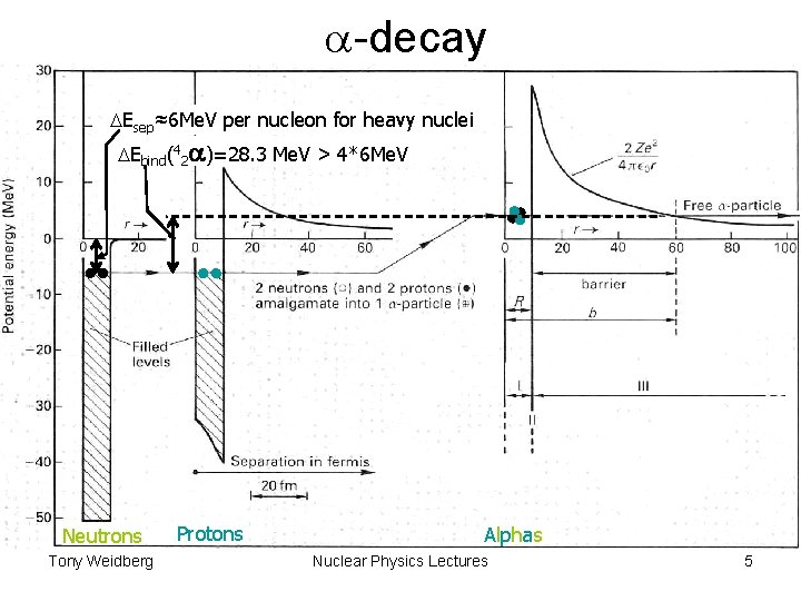 a-decay DEsep≈6 Me. V per nucleon for heavy nuclei DEbind(42 a)=28. 3 Me. V