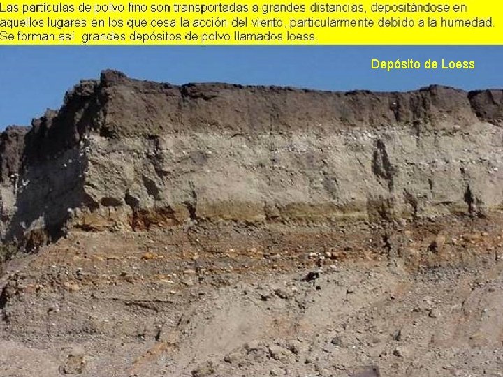 Depósito de Loess 