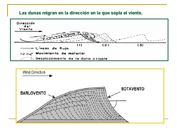 Las dunas migran en la dirección en la que sopla el viento. 