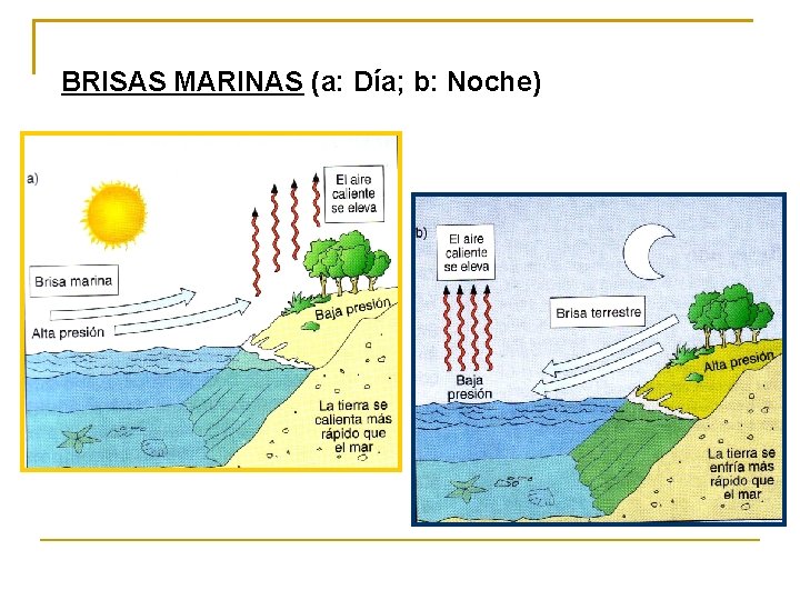 BRISAS MARINAS (a: Día; b: Noche) 