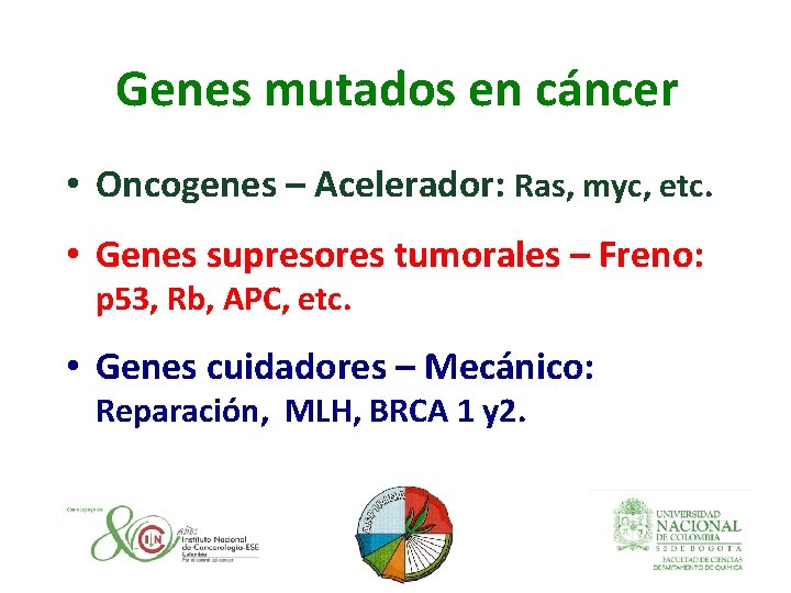 Genes mutados en cáncer • Oncogenes – Acelerador: Ras, myc, etc. • Genes supresores