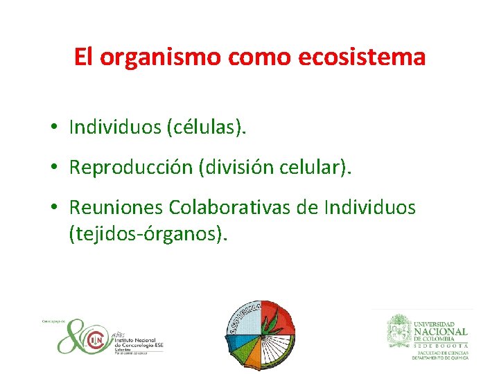 El organismo como ecosistema • Individuos (células). • Reproducción (división celular). • Reuniones Colaborativas