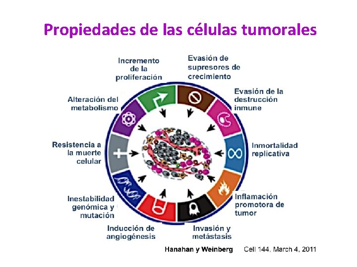 Propiedades de las células tumorales 