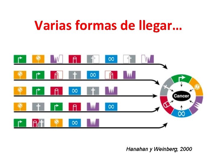Varias formas de llegar… Hanahan y Weinberg, 2000 