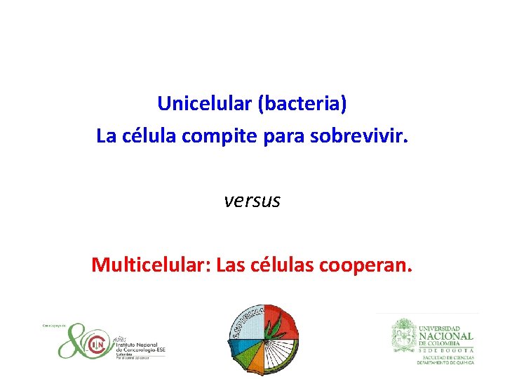 Unicelular (bacteria) La célula compite para sobrevivir. versus Multicelular: Las células cooperan. 