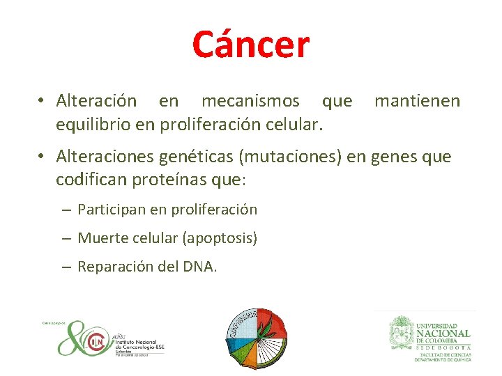 Cáncer • Alteración en mecanismos que equilibrio en proliferación celular. mantienen • Alteraciones genéticas
