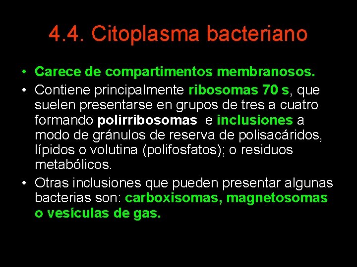 4. 4. Citoplasma bacteriano • Carece de compartimentos membranosos. • Contiene principalmente ribosomas 70