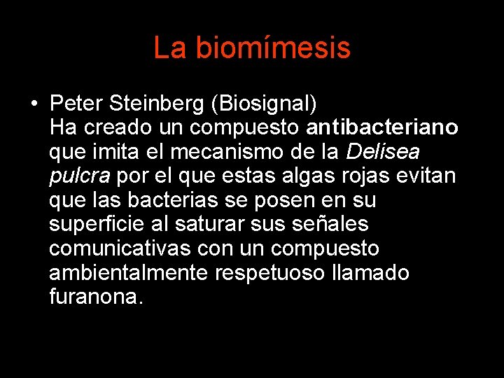 La biomímesis • Peter Steinberg (Biosignal) Ha creado un compuesto antibacteriano que imita el