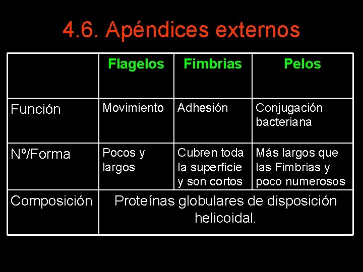 4. 6. Apéndices externos Flagelos Fimbrias Pelos Función Movimiento Adhesión Nº/Forma Pocos y largos