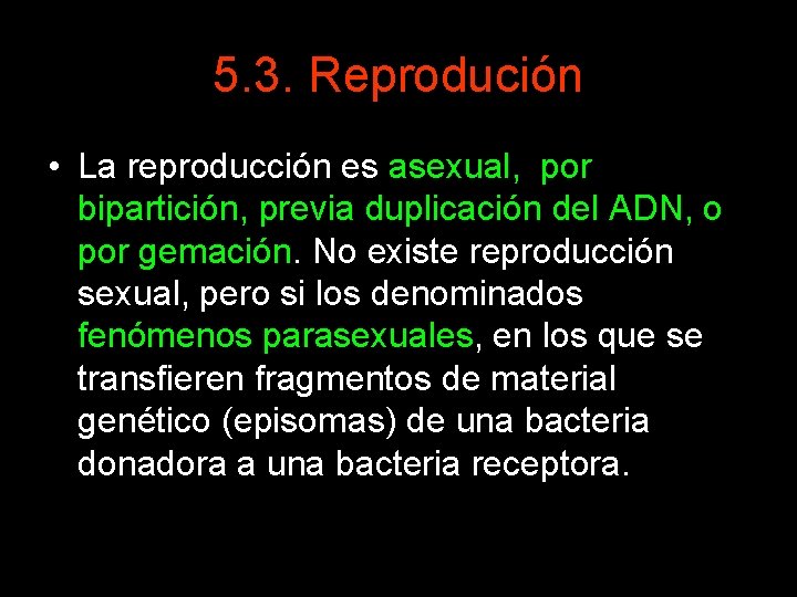 5. 3. Reprodución • La reproducción es asexual, por bipartición, previa duplicación del ADN,