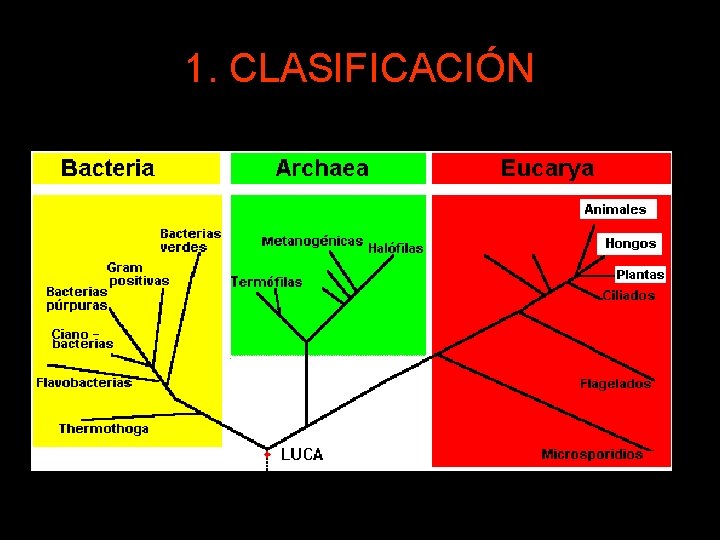 1. CLASIFICACIÓN 