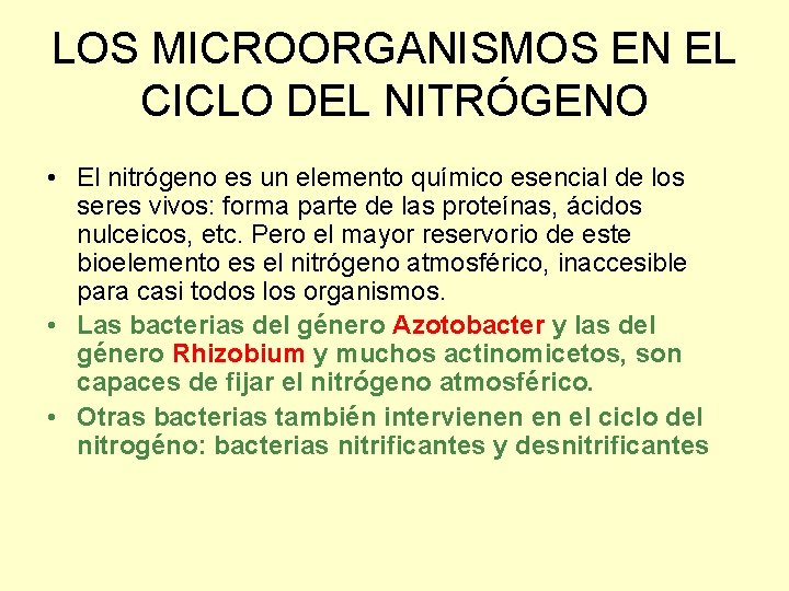 LOS MICROORGANISMOS EN EL CICLO DEL NITRÓGENO • El nitrógeno es un elemento químico