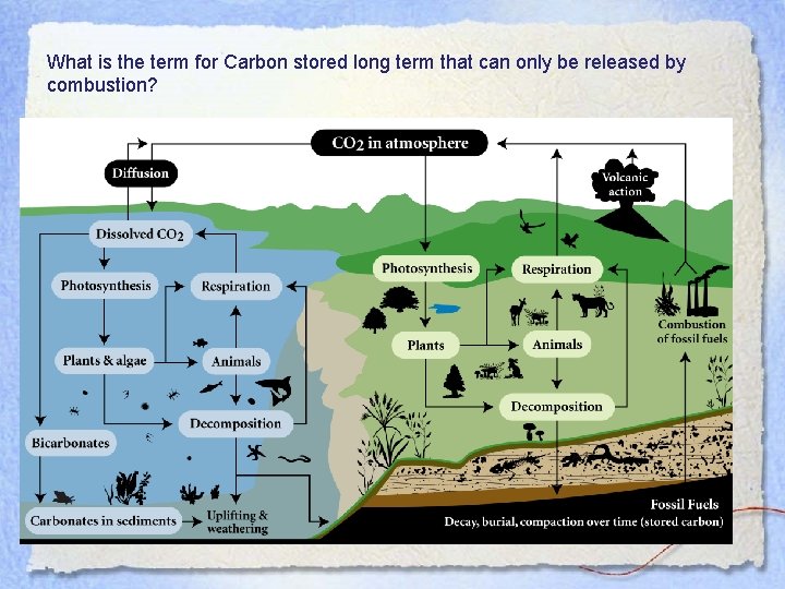 What is the term for Carbon stored long term that can only be released