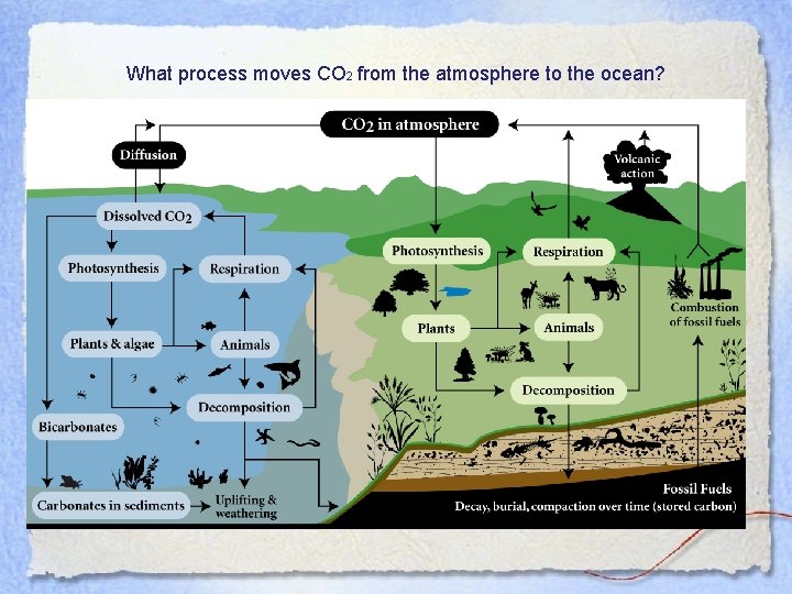 What process moves CO 2 from the atmosphere to the ocean? 