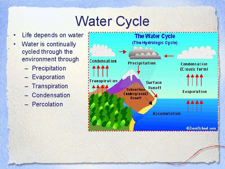 Water Cycle • Life depends on water • Water is continually cycled through the