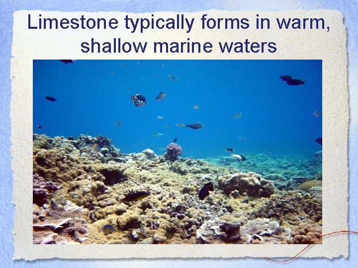 Limestone typically forms in warm, shallow marine waters 