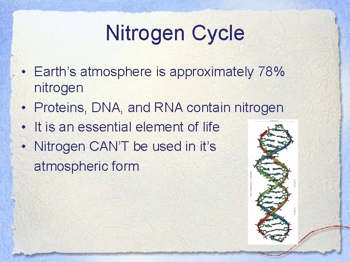 Nitrogen Cycle • Earth’s atmosphere is approximately 78% nitrogen • Proteins, DNA, and RNA