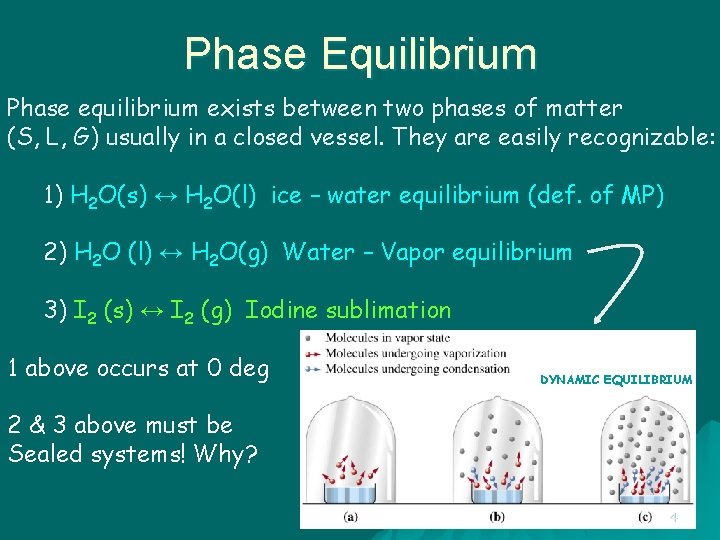Phase Equilibrium Phase equilibrium exists between two phases of matter (S, L, G) usually
