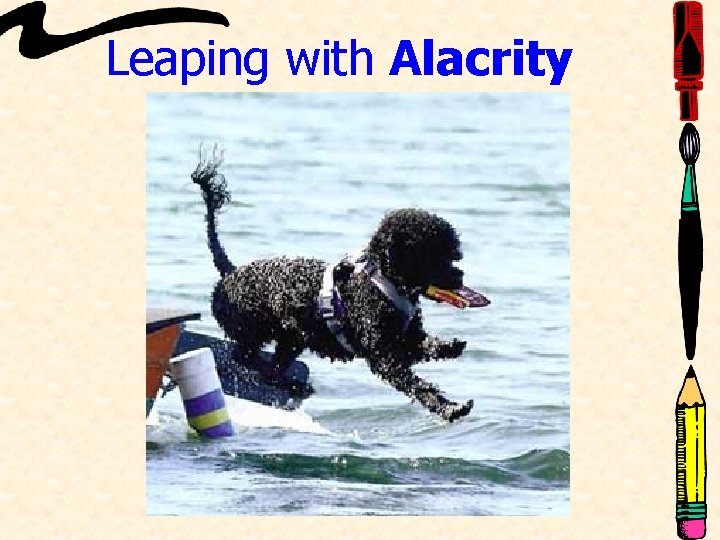 Leaping with Alacrity 