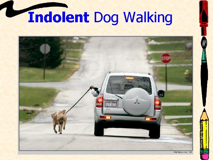 Indolent Dog Walking 