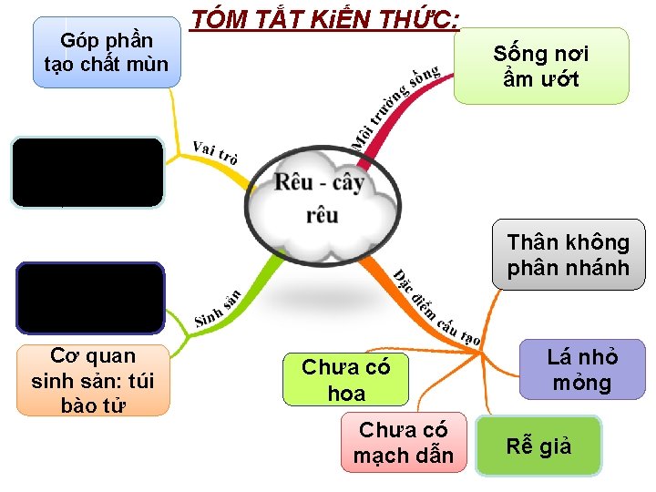 Góp phần tạo chất mùn TÓM TẮT KiẾN THỨC: Sống nơi ẩm ướt Tạo