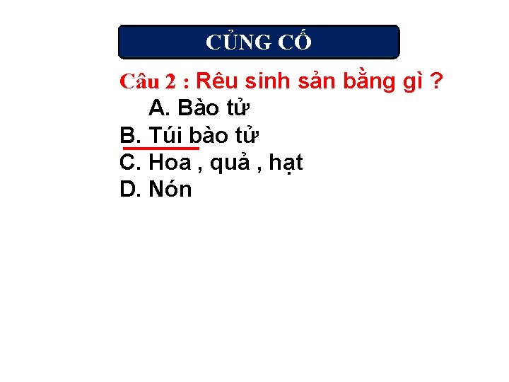 CỦNG CỐ Câu 2 : Rêu sinh sản bằng gì ? A. Bào tử