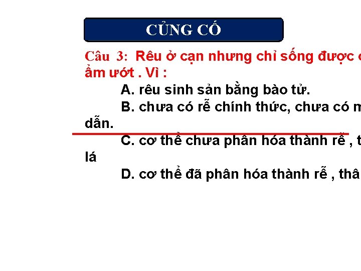 CỦNG CỐ Câu 3: Rêu ở cạn nhưng chỉ sống được ở ẩm ướt.