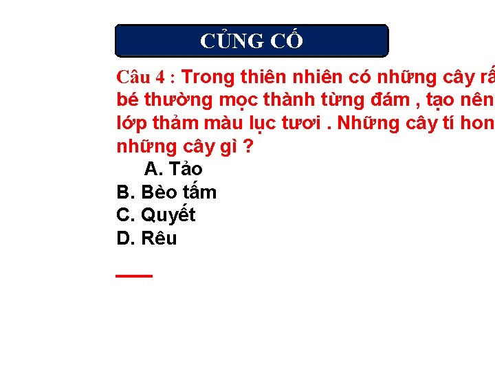 CỦNG CỐ Câu 4 : Trong thiên nhiên có những cây rấ bé thường