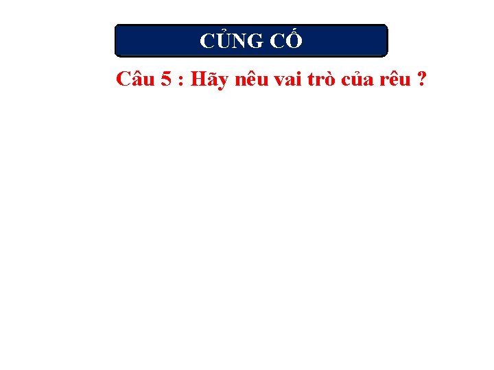 CỦNG CỐ Câu 5 : Hãy nêu vai trò của rêu ? 
