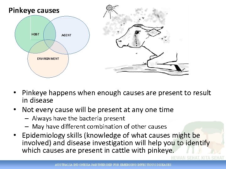 Pinkeye causes HOST AGENT ENVIRONMENT • Pinkeye happens when enough causes are present to