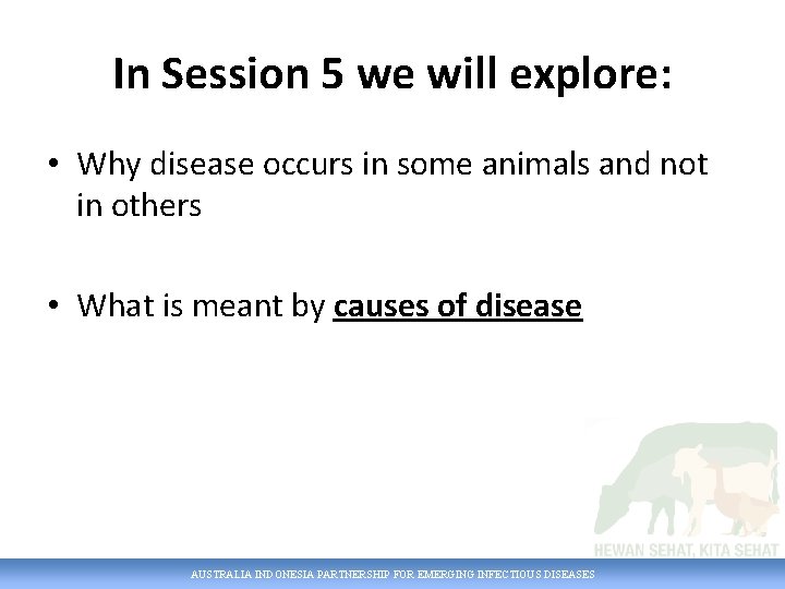 In Session 5 we will explore: • Why disease occurs in some animals and
