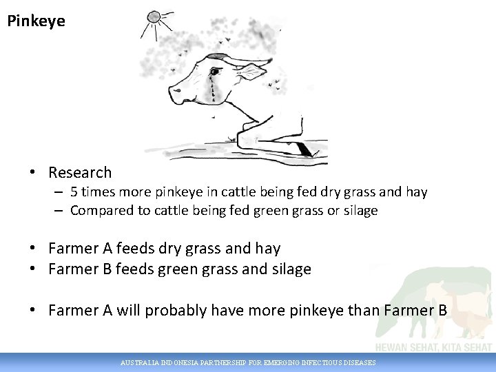 Pinkeye • Research – 5 times more pinkeye in cattle being fed dry grass