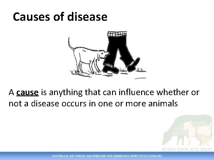 Causes of disease A cause is anything that can influence whether or not a