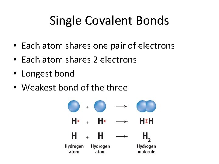 Single Covalent Bonds • • Each atom shares one pair of electrons Each atom