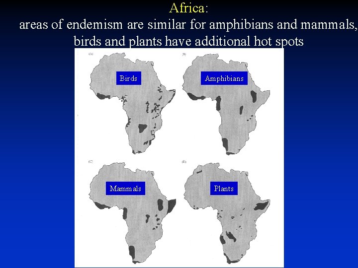 Africa: areas of endemism are similar for amphibians and mammals, birds and plants have Africa: areas of endemism are similar for amphibians and mammals, birds and plants have